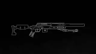 B&T SPR300 Goes Pro