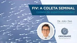 FIV: a coleta seminal (coleta de espermatozoides)