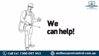 Melbuzz Termite and pest control