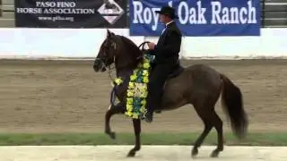 PFHA Grand National Championship 2015 Ad