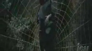 Holding Out For Spider-Man