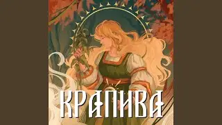 Крапива