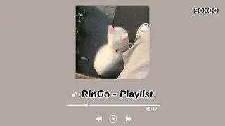 ရင်ဂို- RinGo best song playlist // burmese song  🎧🎶