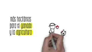 &iquest;Qu&eacute; es la deforestaci&oacute;n? | Sostenibilidad