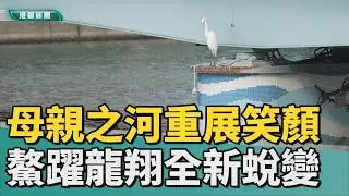 以愛之名｜城市母親河重展笑顏 「鰲躍龍翔」全新蛻變