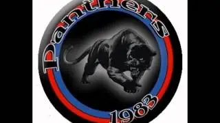Panthers(pinw xronia sklira..)