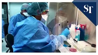 BCG tuberculosis shot may help beat back Covid-19