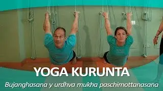 YOGA KURUNTA 5 | Posturas bujanghasana y urdhva mukha paschimottanasana