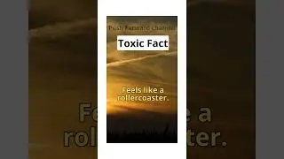 Toxic Love Is Like a Rollercoaster #facts #lovequates #motivation #shorts  #truelove #quotes #love