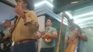 Voy dejar de querer🎼 autor Andr&eacute;s Garc&iacute;a canta Jos&eacute; Manuel Machado El Viejo Chocho🤠 
