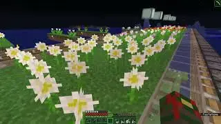 Thungon's SSP - Episode 51: Flower Runway