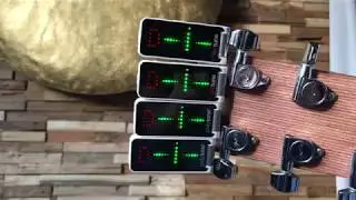 PolyTune vs UniTune (TC Electronic)