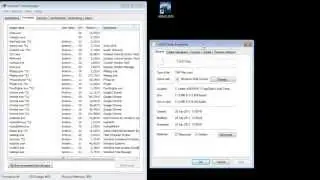 EAccessViolation in Module ~LI5324