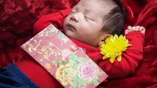 Tet Nguyen Dan - Vietnamese New Year 2017
