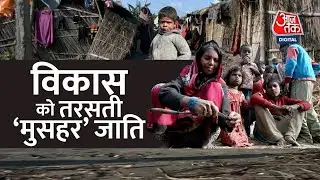 बदहाली में जीवन-यापन करने को मजबूर हैं ‘मुसहर’ जाति के लोग । Kushinagar News । UP News