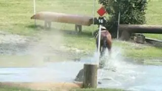 New Horse Fall vid: Colors