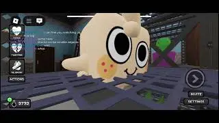 HUNTING FOR MESH!!(gone completely wrong)
