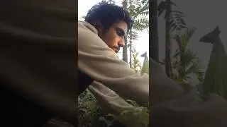 हमारे यहा ऐसा ही होता है #shorts #music #reels #desi #village #villagelife