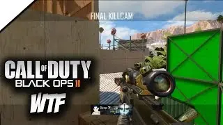 INSANE AIMBOT TRICKSHOTS! (BO2 Mods & Hacks!)