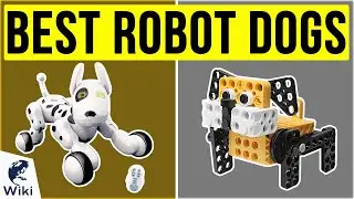 10 Best Robot Dogs 2020
