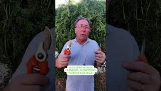 El MITO de las tijeras de podar ⚠ TENE CUIDADO ⚠