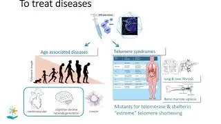 Towards Extending Human Lifespans- Mar&iacute;a Blasco