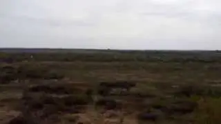 Blaster 2 DLG in Slope