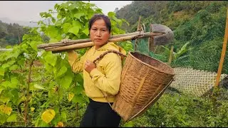 with a single mother growing sugar cane.