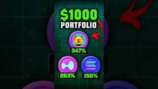 Best $1000 Crypto Portfolio 📈