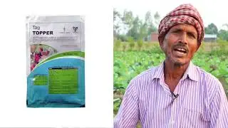 Tag Topper along with Tag Bio increased yield and quality of knol khol  गॉठगोभी