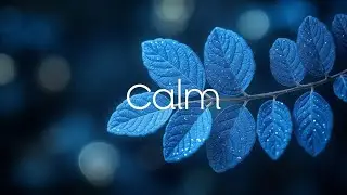 Blue Leaves Guitar & Piano Music ~ Nature's Whisper ~ Relaxing Ambient Instrumental Study Focus