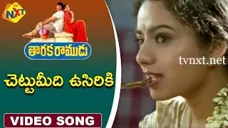 Chettumeedi Vusiriki Video Song |Taraka Ramudu Telugu Movie Songs |Srikanth | Soundarya | Vega Music