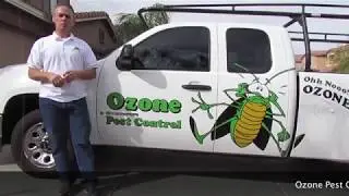 Scorpion Pest Control Goodyear AZ 480-493-5028 Ozone Pest Control