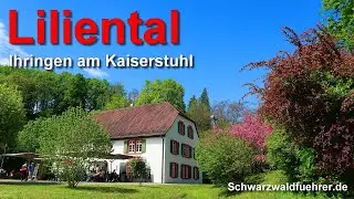 Liliental bei Ihringen am Kaiserstuhl