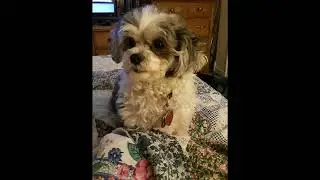 11/30/18 - 