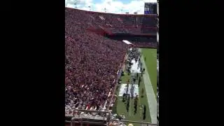 Gator chomp! Crowd doing its thing at the swamp.