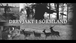 Drevjakt i S&ouml;rmland