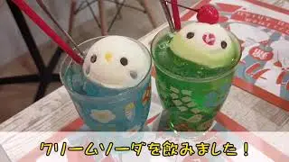 ことりカフェ上野本店に行ってきました🐥⸒⸒(2022年8月)