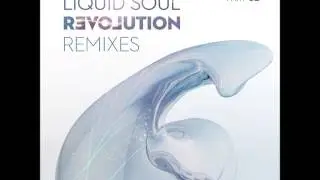 Liquid Soul - Revolution Remixes Part 02 [Full Album]