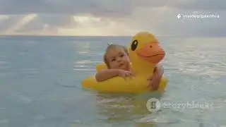 Baby Whale Play Day