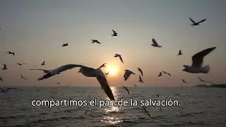 Fernando Leiva Sí, me levantaré