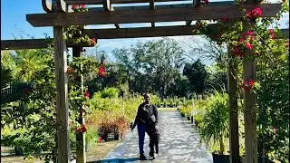First-Time Garden Center Tour: What Caught My Eye!  #plants