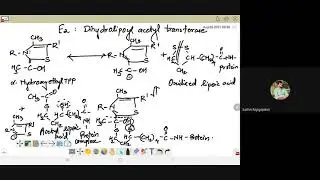 Acetylation continued & TCA till isocitrate dehydrogenase