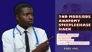 HOW TO SMASH 2MBBS/BDS ANATOMY STEEPLECHASE EXAMINATION PART 1 @LIFE OF A MEDICAL STUDENT @300LEVEL