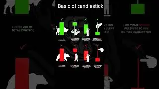 🕯️ How to Read Candlestick Charts for Beginners (Simple & Powerful!) #shorts