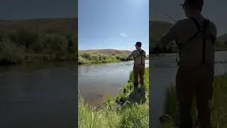 Primitive Camping Nevada 75 Fish Landed #fypシ゚viral #youtubeshorts #camping #fishing #fyp