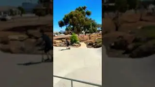 Sketchier then it looks #kulin #lifeisbutadream #fyp #scooter