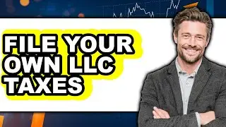 How to File Your Own LLC Taxes (The Only Way)