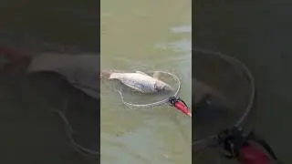Fishing Technique to catch large fish
