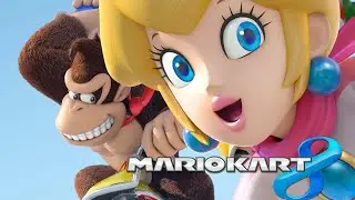 PETER vs TIMON  - Mario Kart 8